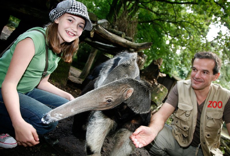 Katrin und die Welt der Tiere Bilder - TV Wunschliste
