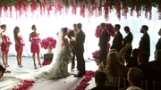 Kelly, groom and full bridal party.