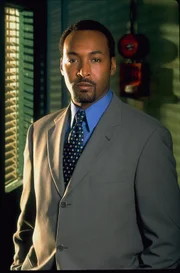 (11. Staffel) - Schreckt vor keinem Mordfall zurück: Detective Green (Jesse L. Martin) ...