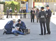 Ein neuer Mordfall beschäftigt Ducky (David McCallum, vorne l.), Jimmy (Brian Dietzen, vorne M.), Ziva (Cote de Pablo, 2.v.r.) und Gibbs (Mark Harmon, r.) ...