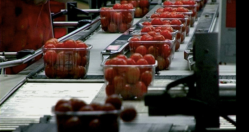 We feed the World - Essen global (A, 2005)