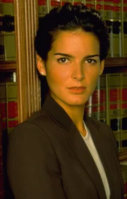 (9. Staffel) - Bezirksstaatsanwaltsassistentin Abbie Carmichael (Angie Harmon) ist neu im Team und muss sich erst noch beweisen ...