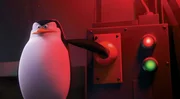 Die vier Pinguine Skipper (Bild), Kowalski, Rico und Private sind das perfekte Team und haben schon zahlreiche Missionen erfolgreich abgeschlossen. Nun müssen sie den Bösewicht Dr. Octavius Brine unschädlich machen, der mit den Pinguinen noch eine Rechnung offen hat ...