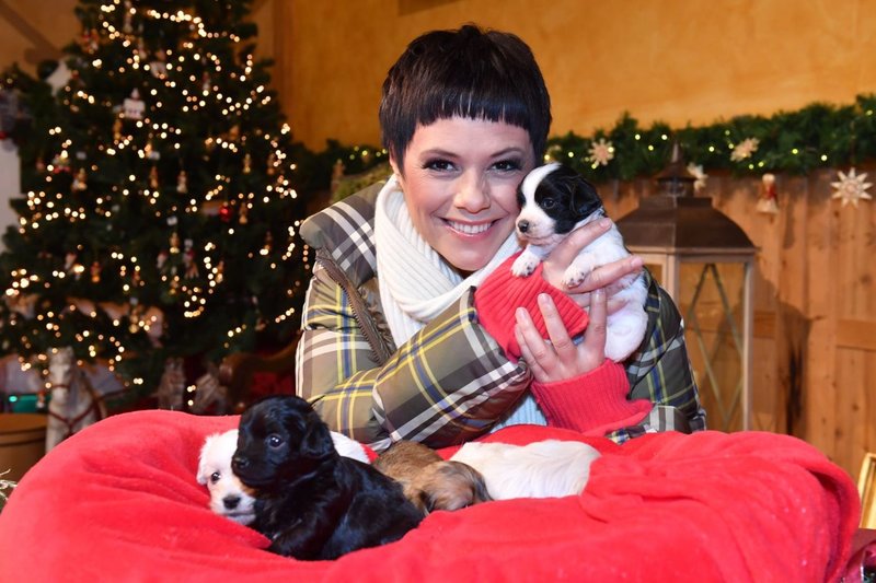 Weihnachten Auf Gut Aiderbichl 2022 Fernsehen Weihnachten auf Gut Aiderbichl / Advent auf Aiderbichl Bilder TV