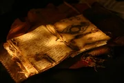 Eines Tages bekommt der professionelle Schatzsucher Jack Wilder ein geheimnisvolles altes Buch überreicht, das sich als zumindest teilweise als Wegkarte zur legendären Goldstadt El Dorado entpuppt ...