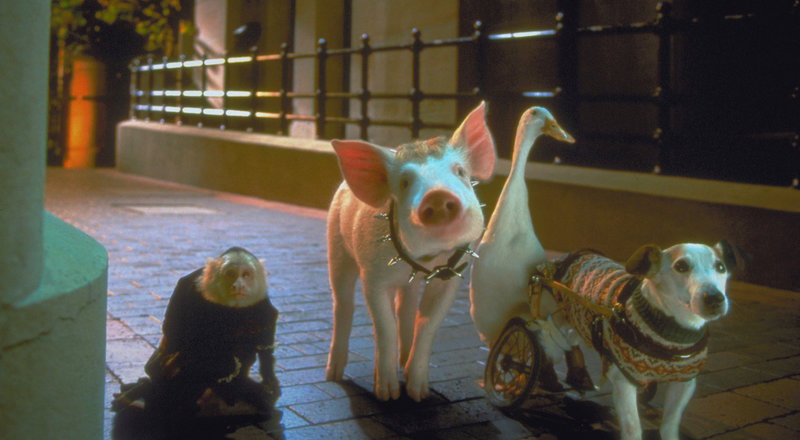 Schweinchen Babe in der großen Stadt (AUS, 1998)