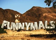 Titelbild «FUNNYMALS»