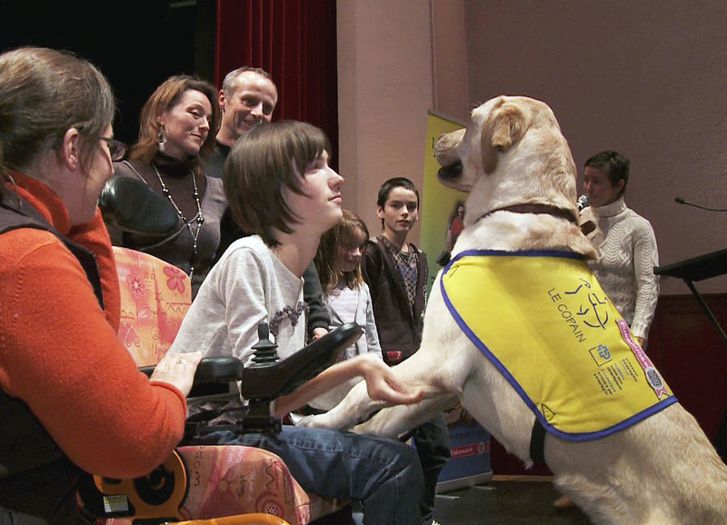 Mit sechs Beinen im Leben (CH, 2011)