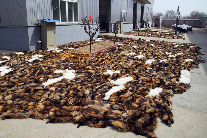 Luxusmode - Leiden für Edles (RC/I, 2018)