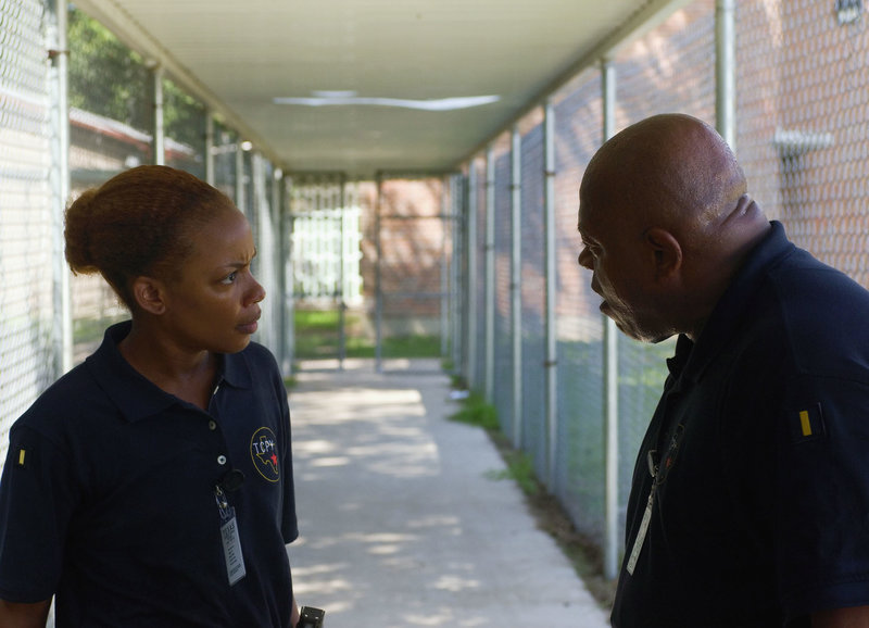 Racing for Time - Lauf um dein Leben (D, 2008)