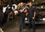 Steve und Antonio