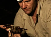 In Guayana stossen Steve und sein Team auf die grösste Spinne der Welt