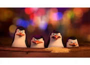 Vier Pinguin-Agenten auf der Lauer