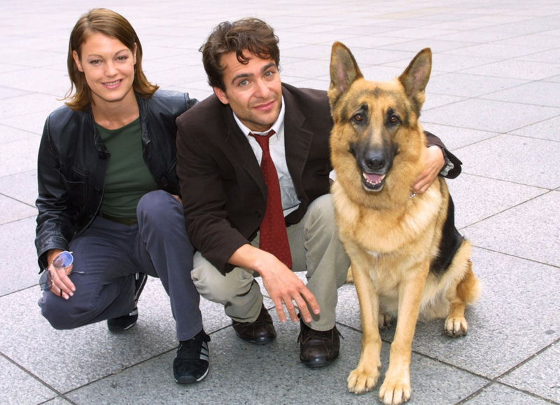 Kommissar Rex Episodenguide Kommissar Rex Episodenguide
