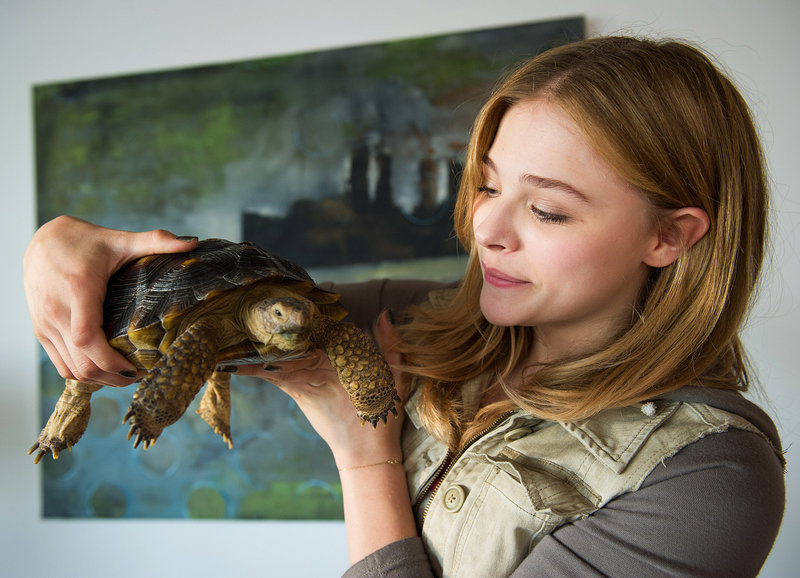 Grow Up Erwachsen Werd Ich Später Online Stream