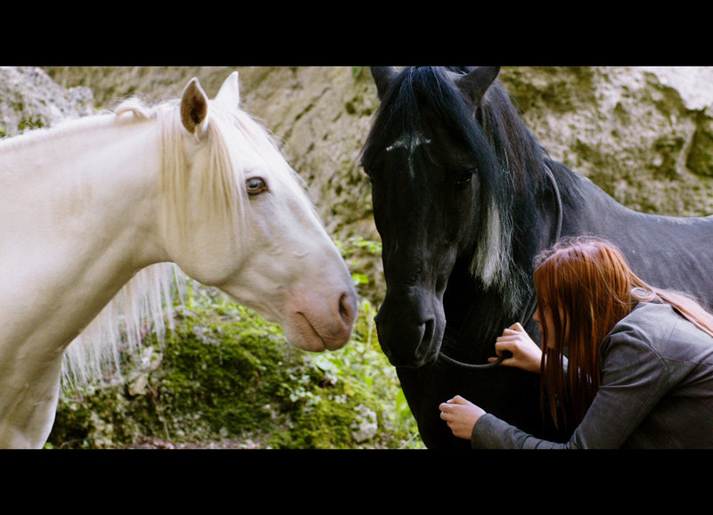 Ostwind 2 Rückkehr Nach Kaltenbach Ganzer Film Ostwind 2 (D, 2015) Streams, TV-Termine, News, DVDs TV Wunschliste