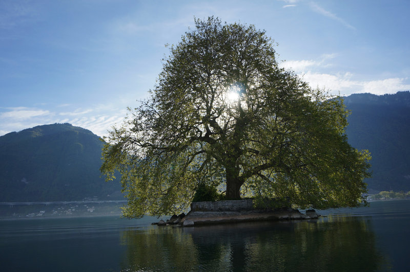 Ein Traum von Baum Bilder TV Wunschliste