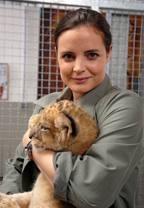 [01x06] Die Löwenmutter Tierärztin Dr. Mertens TV Wunschliste