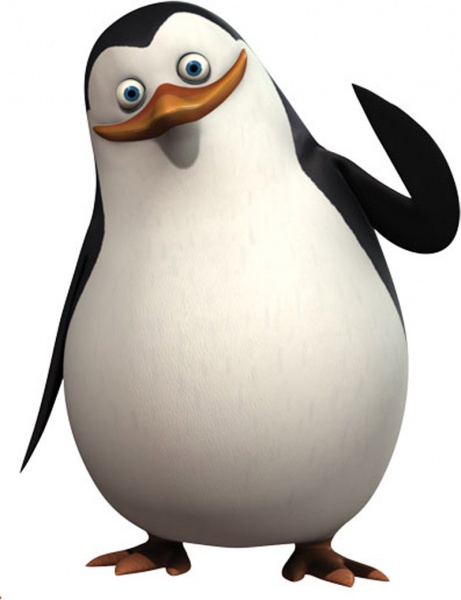 Pinguine Madagascar