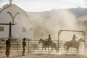 Auf der Ranch versagen selbst die besten Staubsauger