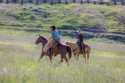 Als Grünschnabel begleitet Rip den Cowboy Rowdy (l.)