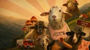 Keyvisual "SHEEP"