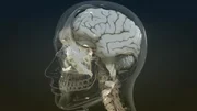Mediziner können mit neuen Früherkennungsmethoden Alzheimer, schon Jahre bevor die Krankheit für alle erkennbar wird, diagnostizieren. Doch wie sicher sind diese Methoden?