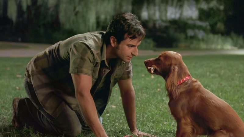 Papa Gibt Gas Ganzer Film Deutsch Papa gibt Gas - Eine Familie ist nicht zu stoppen USA/IND, 2007 Streams