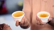 Crème Brulee