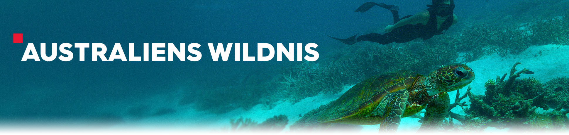 Australiens Wildnis