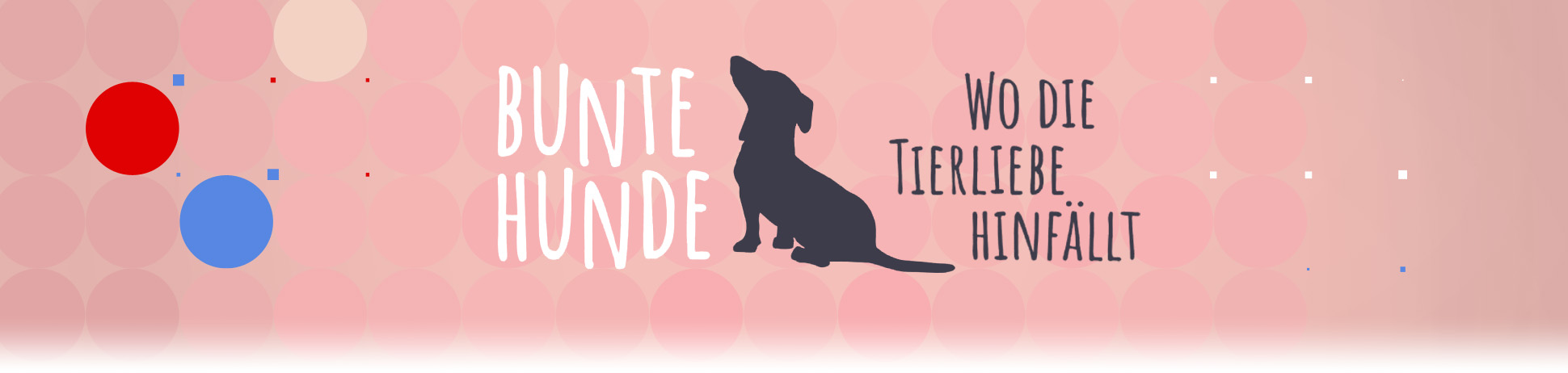 Bunte Hunde - Wo die Tierliebe hinfällt