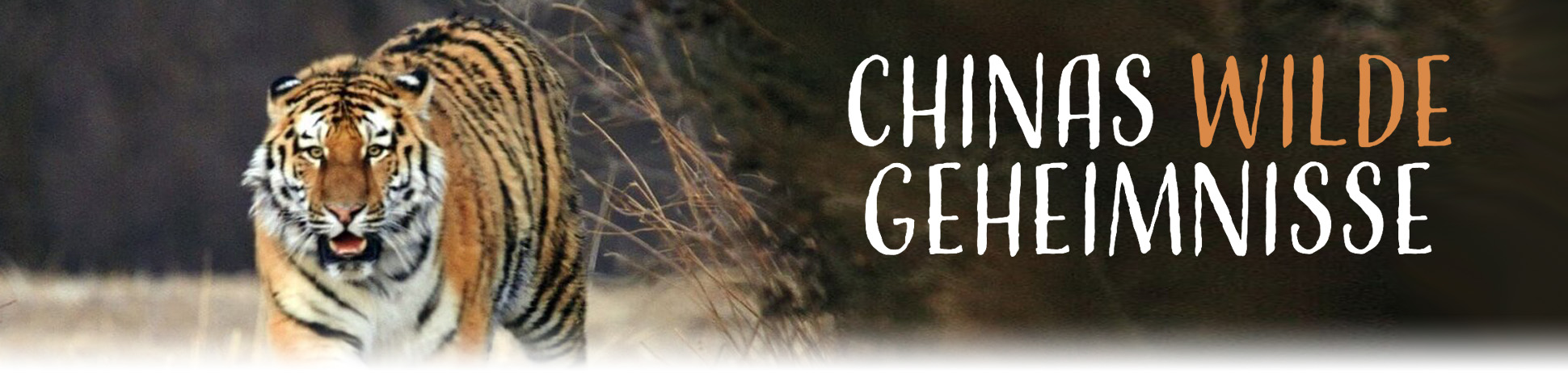 Chinas wilde Geheimnisse