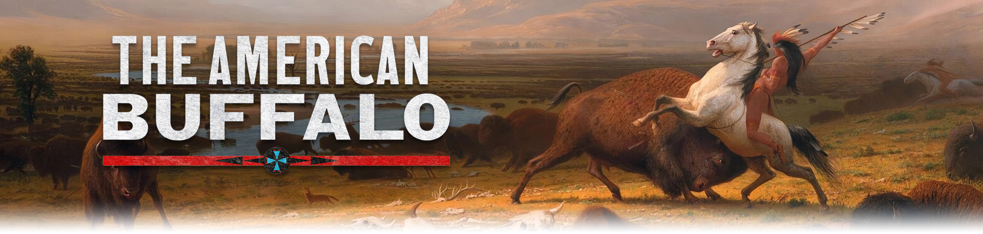 Der Amerikanische Bison