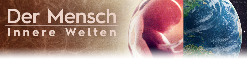 Der Mensch: Innere Welten