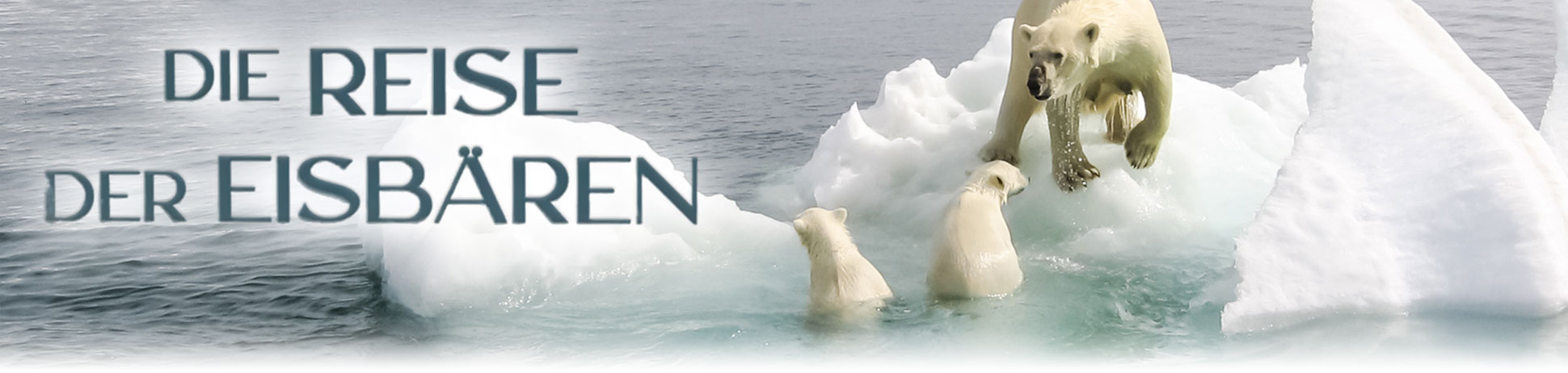 Die Reise der Eisbären
