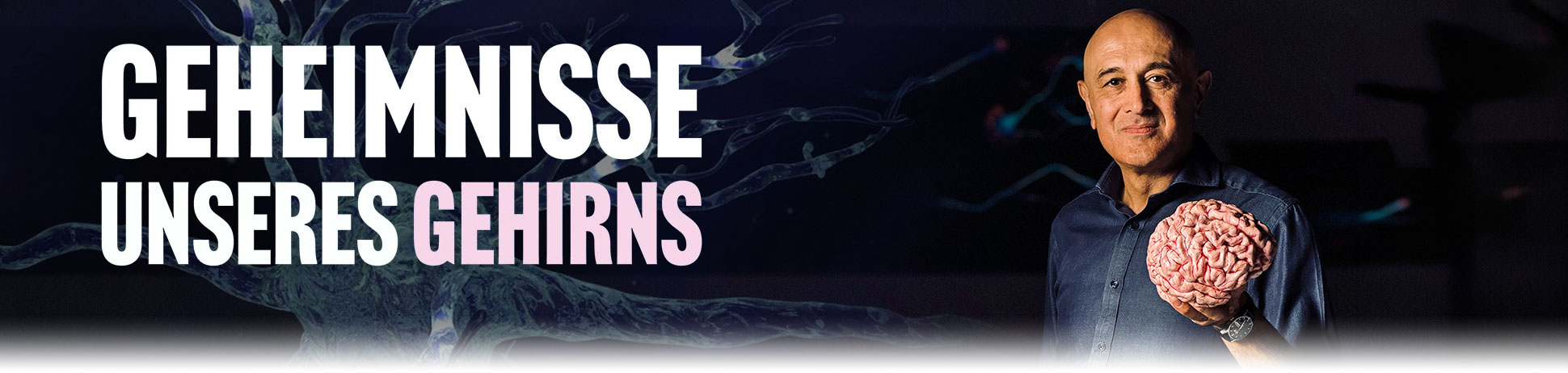 Geheimnisse unseres Gehirns