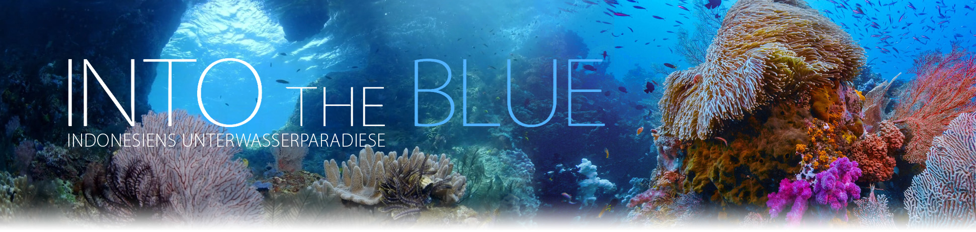 Into the Blue - Indonesiens Unterwasserparadiese