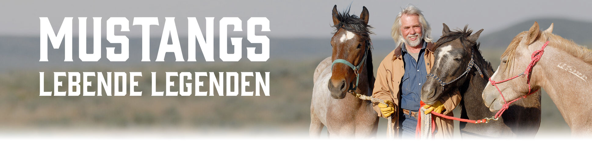 Mustangs - Lebende Legenden