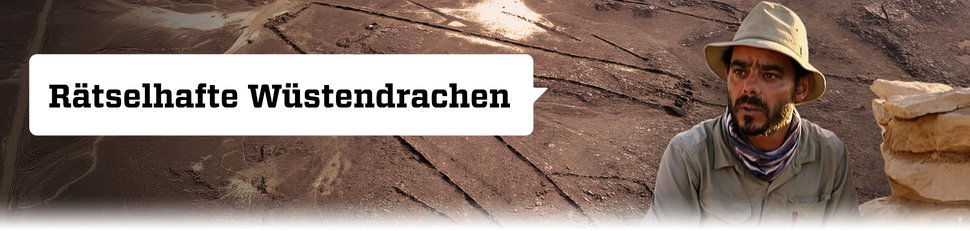 Rätselhafte Wüstendrachen Rätselhafte Wüstendrachen