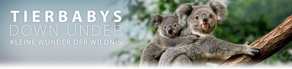 Tierbabys Down Under – Kleine Wunder der Wildnis Tierbabys Down Under – Kleine Wunder der Wildnis