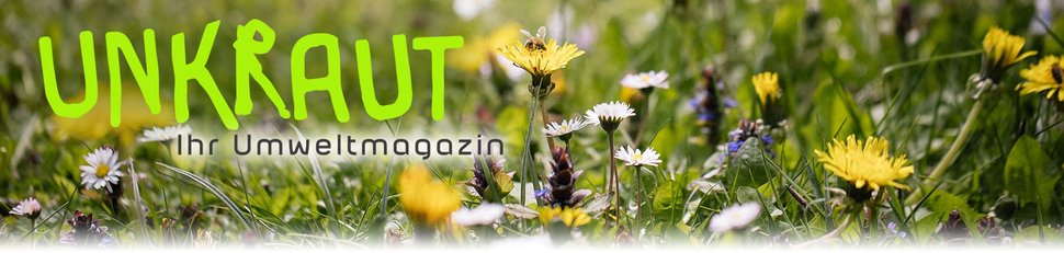 Unkraut