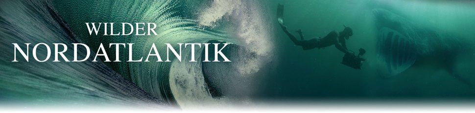 Wilder Nordatlantik