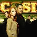 "CSI: Miami", "Law & Order", "Bones", "CSI" und "Cobra 11"
