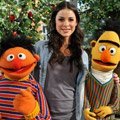 Promi-Songs mit Ernie und Bert