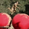 Dritte Staffel für Hindernisparkour mit 'Big Balls'