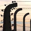 27. Januar ist Gedenktag an die Opfer des Nationalsozialismus