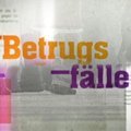 "Betrugsfälle" ersetzen die "Schulermittler"