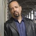 Fehler in Zulassungsstelle löste Verhaftung des "SVU"-Stars aus