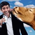 Wie lieben und ernähren sich die Deutschen?