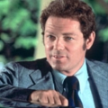 11 Staffeln als 'Danno Williams' in der Originalserie